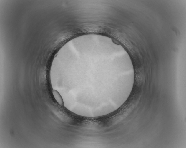X0000111630207200908281142