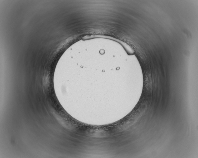 X0000111630208200908281142