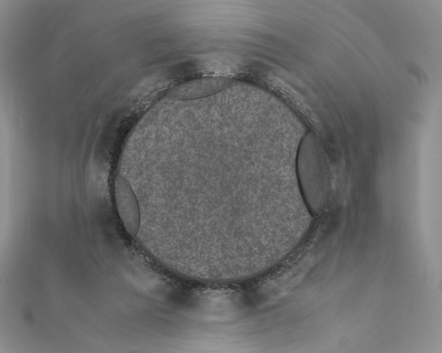 X0000111630209200908281142