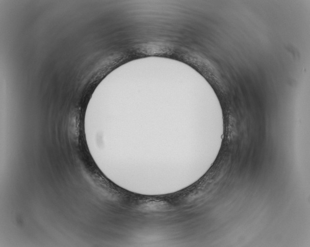 X0000111630210200908281142