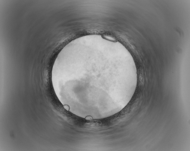 X0000111630211200908281142