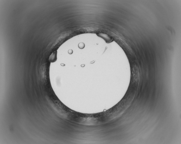 X0000111630212200908281142