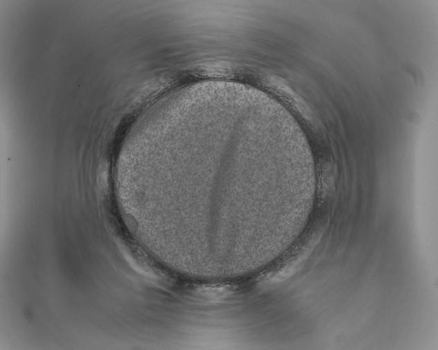 X0000111630213200908281142