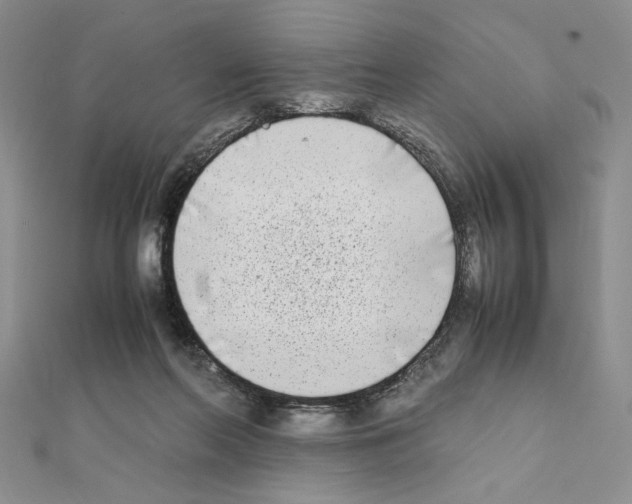 X0000111630214200908281142