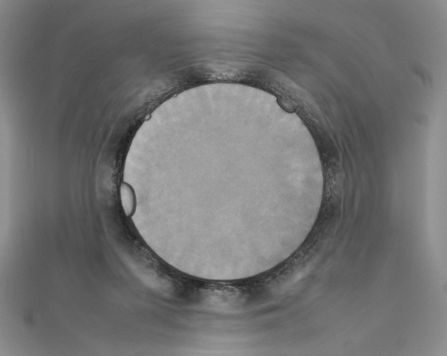 X0000111630215200908281142