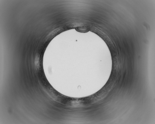 X0000111630216200908281142