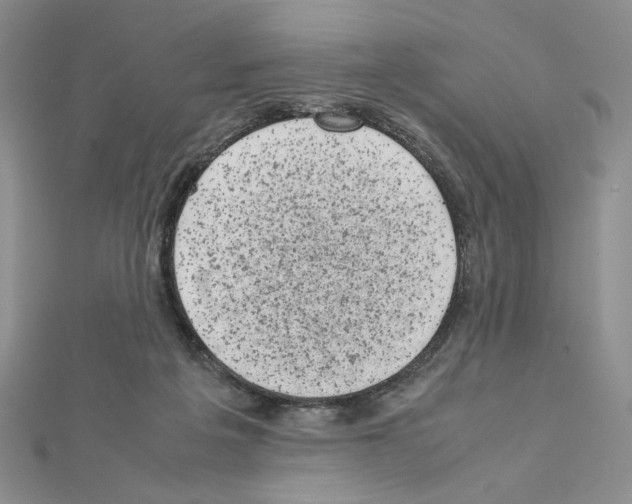 X0000111630217200908281142