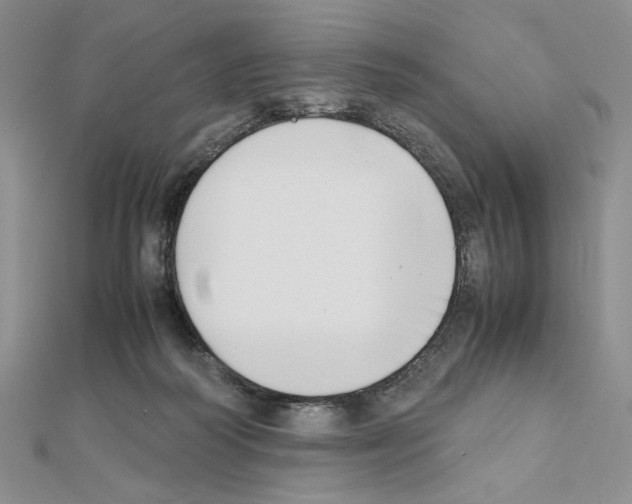 X0000111630218200908281142