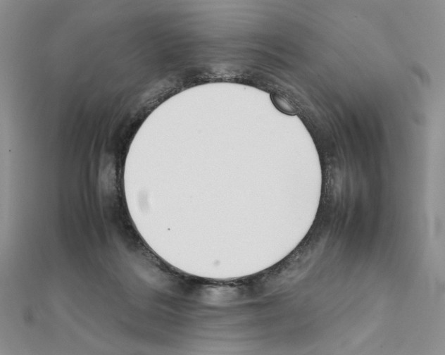 X0000111630220200908281142