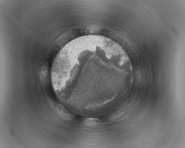 X0000111630222200908281142
