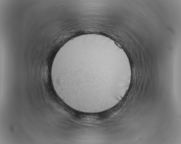 X0000111630223200908281142