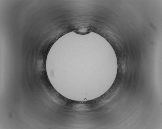 X0000111630224200908281142