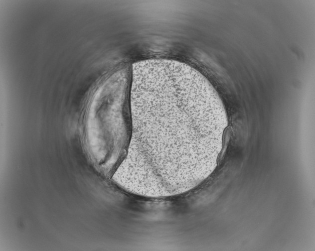 X0000111630225200908281142