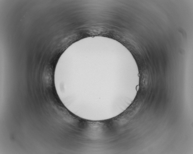 X0000111630226200908281142