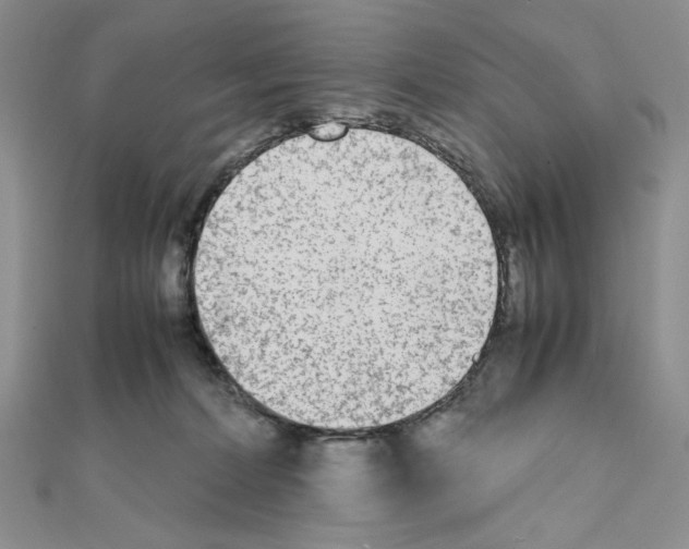 X0000111630228200908281142