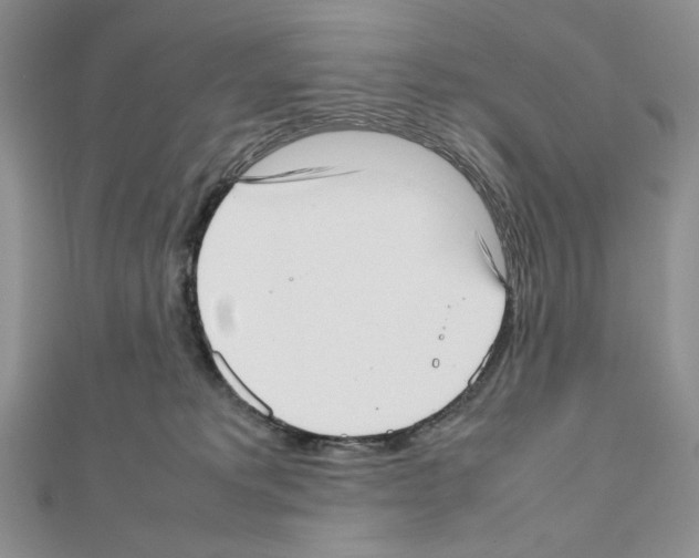 X0000111630229200908281142
