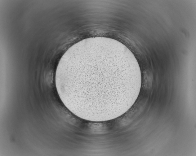 X0000111630230200908281142