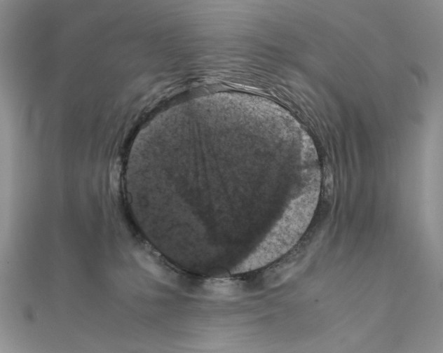 X0000111630231200908281142