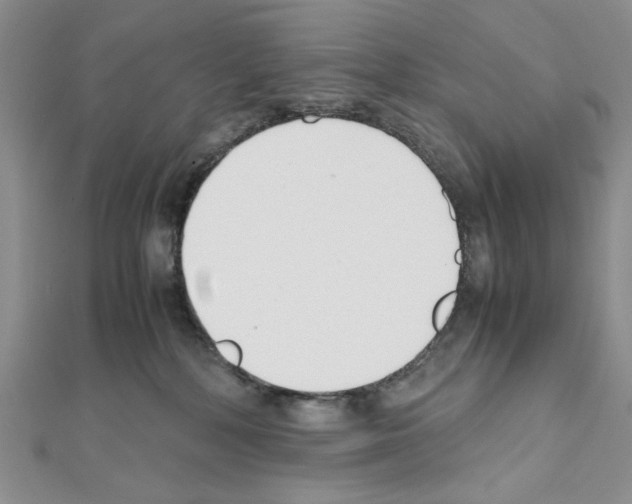 X0000111630232200908281142