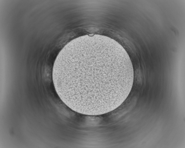 X0000111630234200908281142