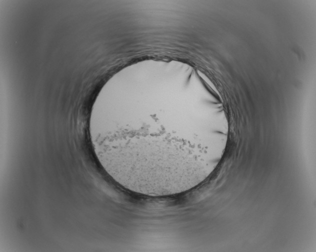 X0000111630235200908281142
