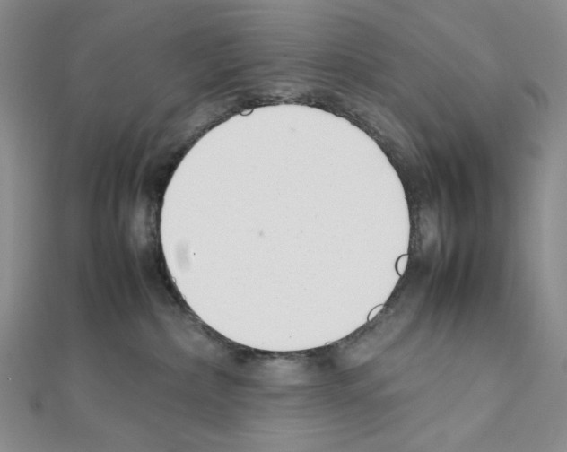 X0000111630236200908281142