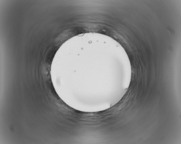 X0000111630237200908281142
