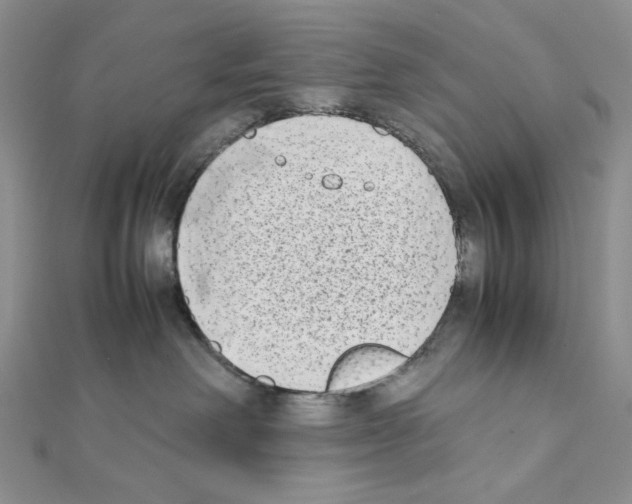 X0000111630238200908281142
