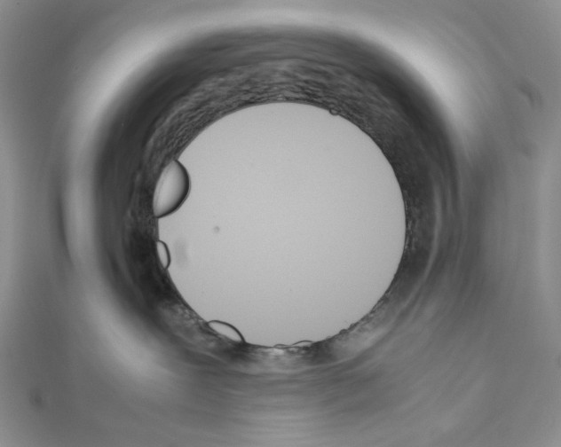 X0000111630239200908281142