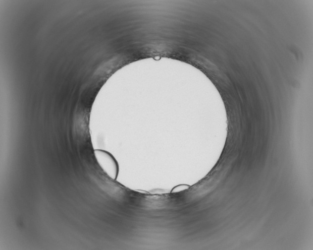 X0000111630240200908281142