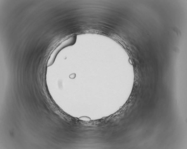X0000111630241200908281141