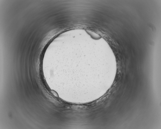 X0000111630242200908281141