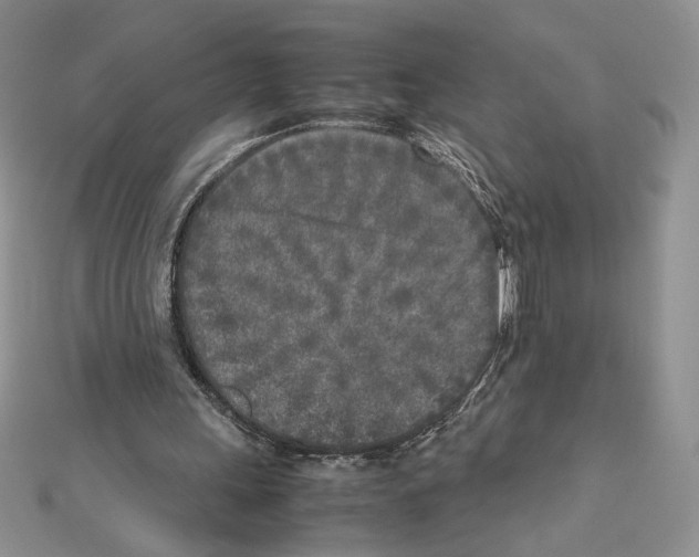 X0000111630243200908281141