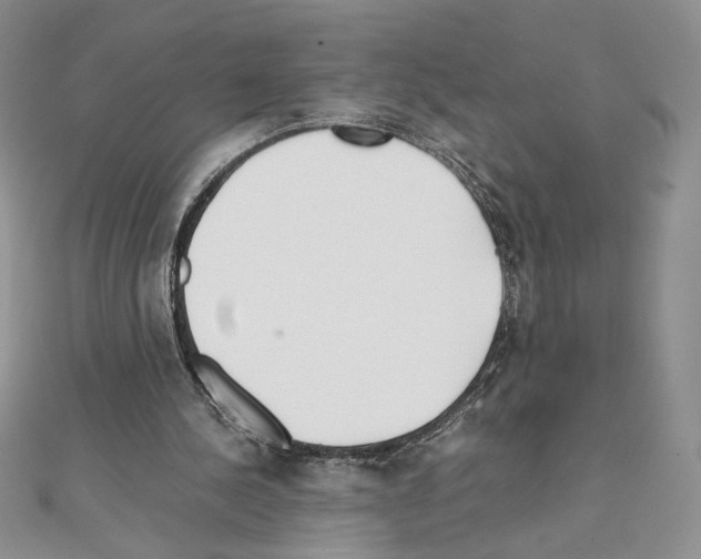 X0000111630244200908281141