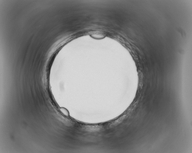 X0000111630245200908281141