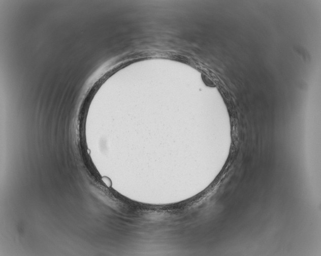 X0000111630246200908281141