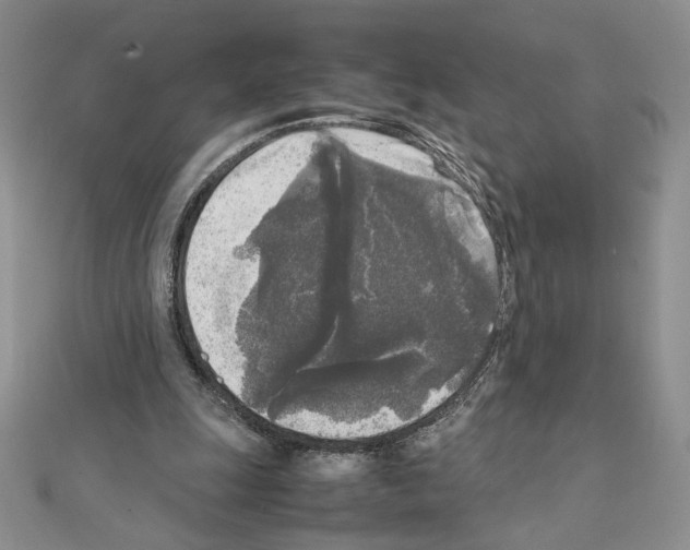 X0000111630247200908281141