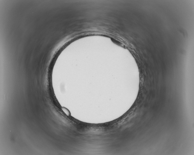 X0000111630248200908281141