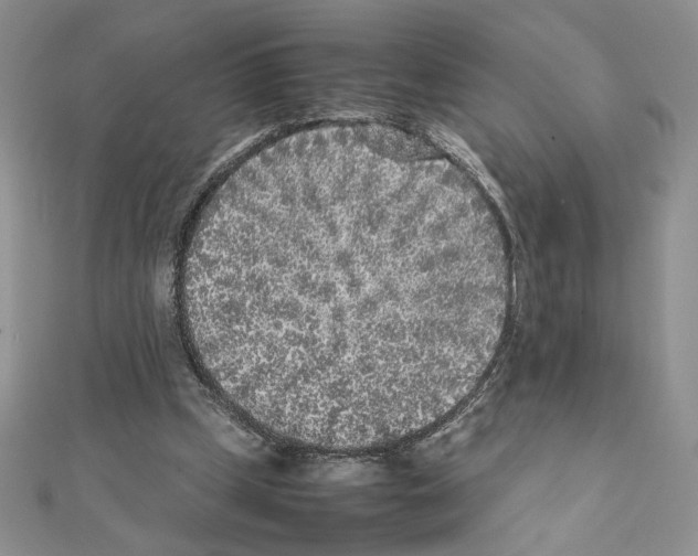 X0000111630249200908281141