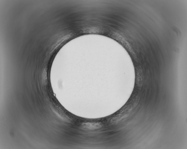 X0000111630251200908281141