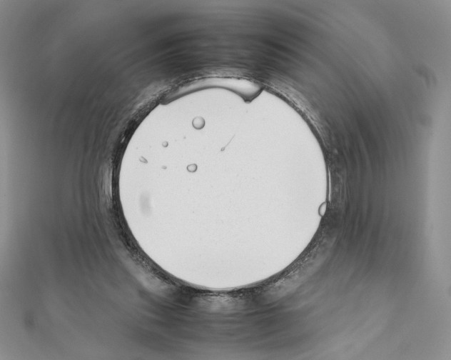 X0000111630253200908281141