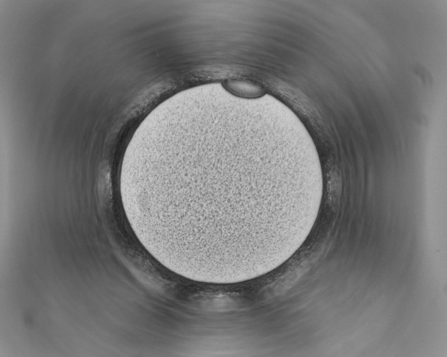 X0000111630254200908281141