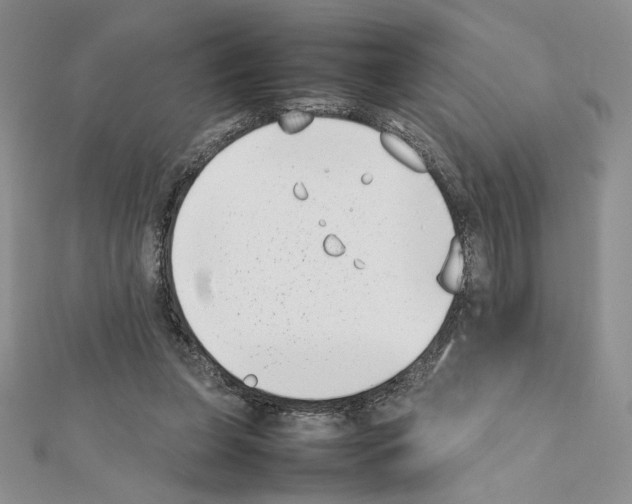 X0000111630255200908281141
