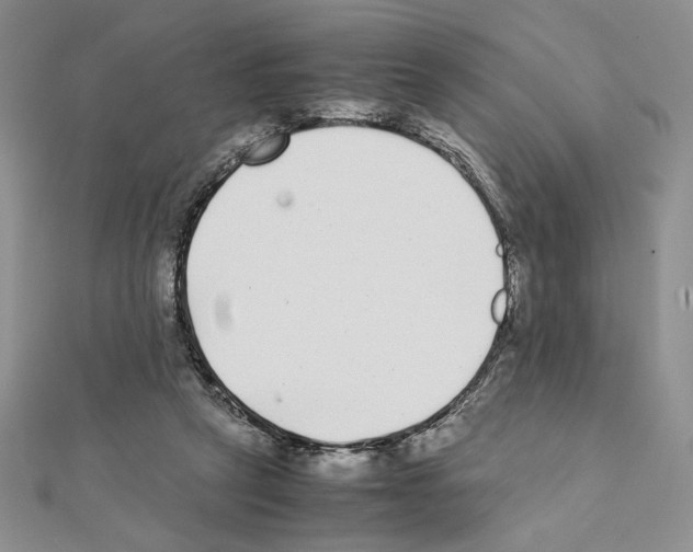 X0000111630257200908281141