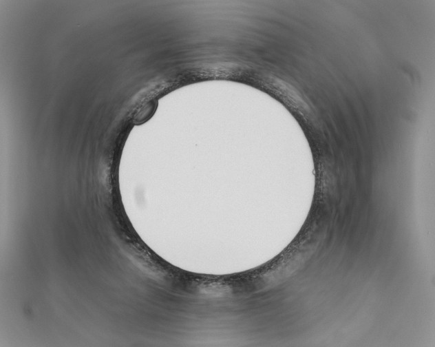 X0000111630258200908281141
