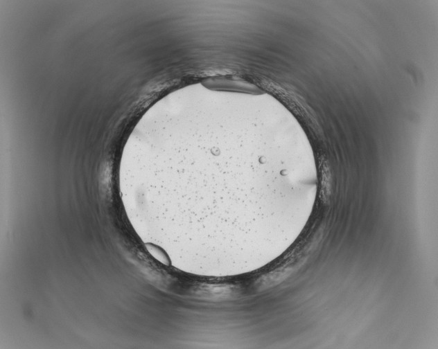 X0000111630260200908281141