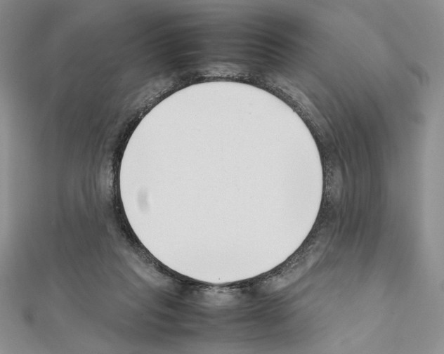 X0000111630261200908281141