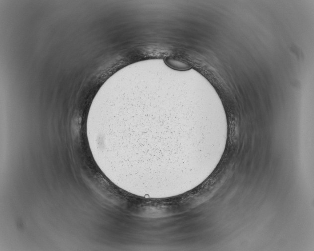 X0000111630263200908281141