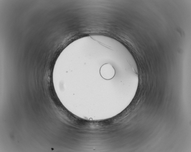 X0000111630264200908281141