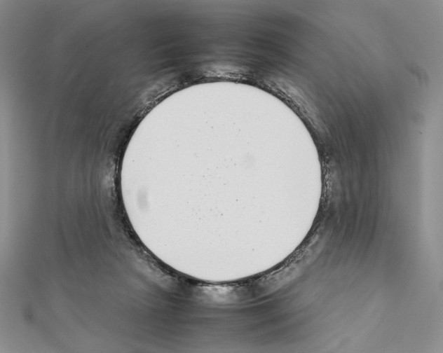 X0000111630265200908281141